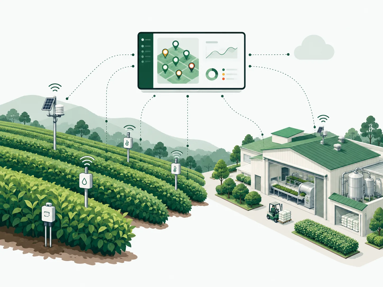 Illustration of sensors in a tea estate and factory sending information to a monitoring interface.